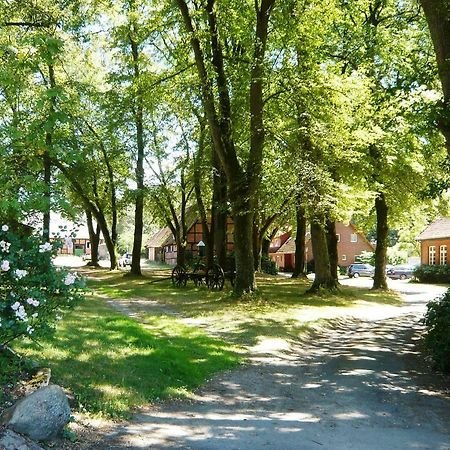 Ferienpension Lindenhof - Ferienwohnungen In Der Lueneburger Heide Marxen am Berge Luaran gambar