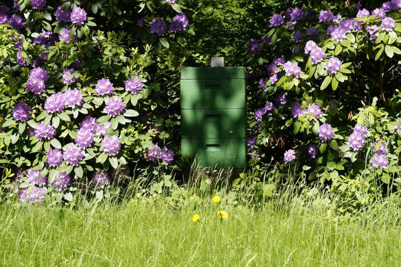 Ferienpension Lindenhof - Ferienwohnungen In Der Lueneburger Heide Marxen am Berge Luaran gambar