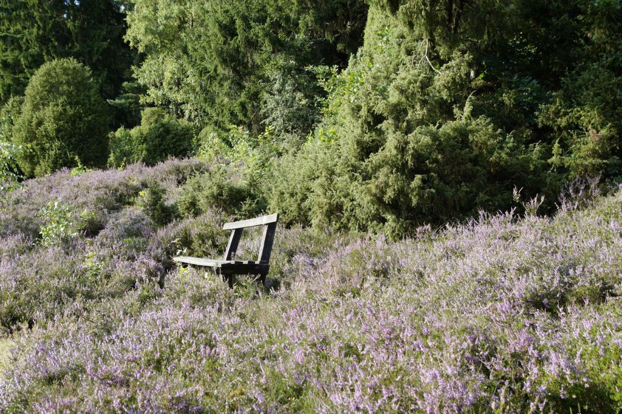 Ferienpension Lindenhof - Ferienwohnungen In Der Lueneburger Heide Marxen am Berge Luaran gambar