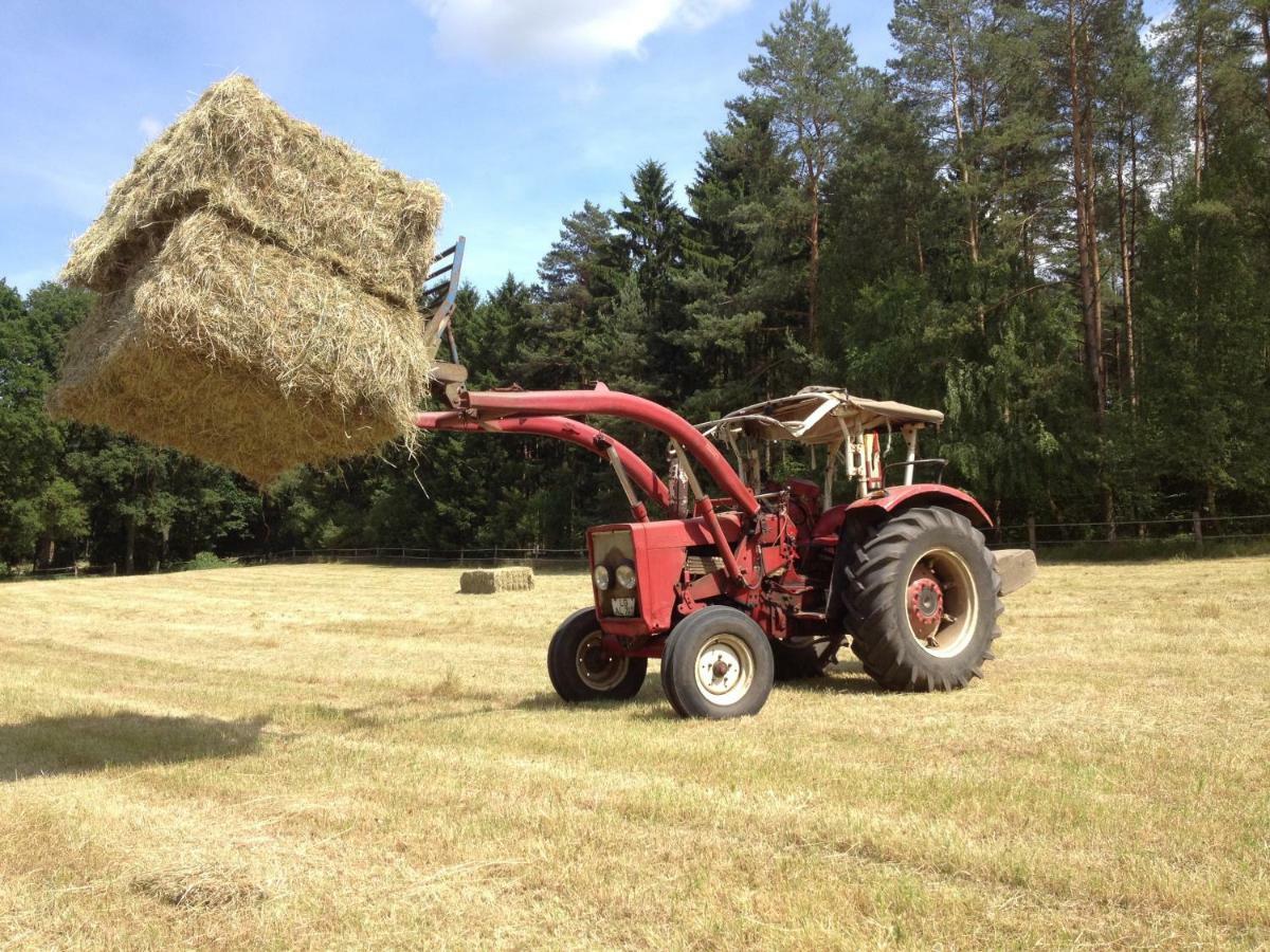 Ferienpension Lindenhof - Ferienwohnungen In Der Lueneburger Heide Marxen am Berge Luaran gambar